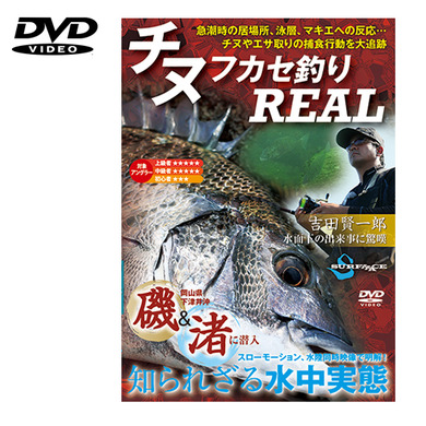 SURFAAACE チヌ×フカセ釣り REAL DVD