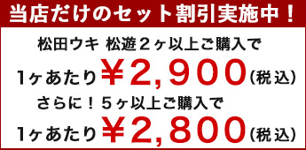 松遊 ５ヶ以上ご購入で１ヶあたり2,800円！