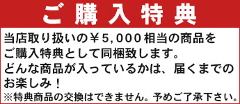 がま磯 アテンダー3 購入特典