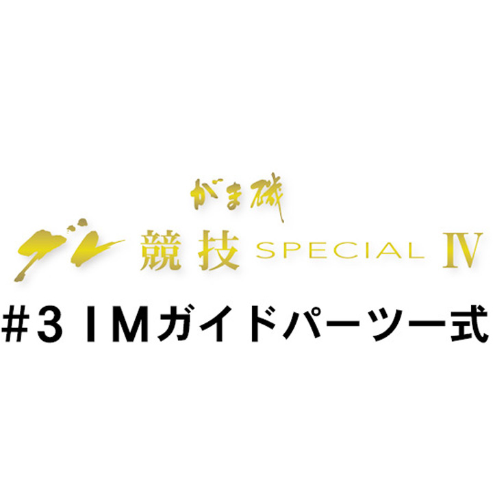 がまかつ がま磯 グレ競技スペシャル4 #3ＩＭガイド一式