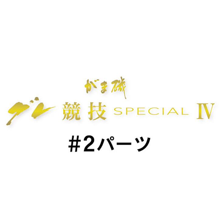 がまかつ がま磯 グレ競技スペシャル4 #2パーツ
